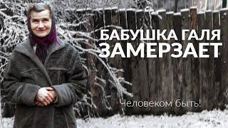 В каких условиях живут старики. Как живут старики в России в 2019 году? Помощь малоимущим старикам.