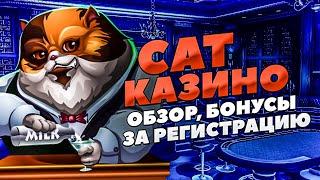 Cat казино подробный обзор  Отзывы, вывод, регистрация в онлайн казино CAT