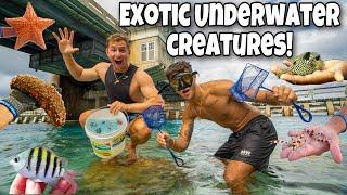Catching EXOTIC Underwater CREATURES For My AQUARIUM!! *Epic*
