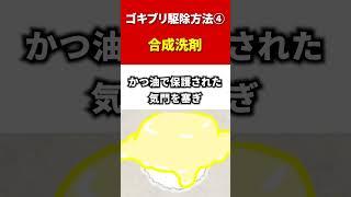 【ゴキブリ 洗剤】ゴキブリ駆除方法④合成洗剤 #shorts #虫雑学 #害虫 #ゴキブリ