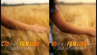 Canon R5 vs Canon C70 // image quality, Dynamic Range, Stabilisation // Film Look color grading.