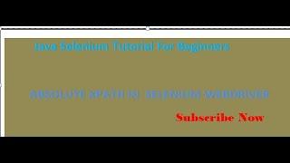 Absolute Xpath in Selenium WebDriver