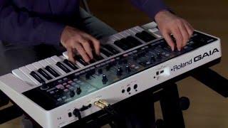 Roland GAIA SH-01 Virtual Analog Synthesizer  Performance