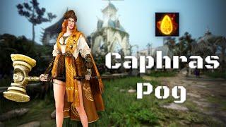 So Many Caphras To Go! | Black Desert Ironman