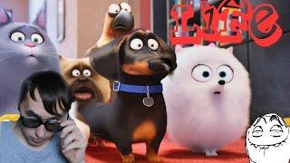 Тайная жизнь домашних животных обзор The Secret #LifeofPets!?