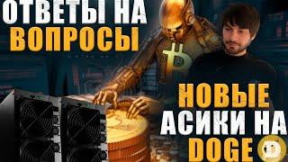 Лучше купить биткоин чем майнить | Elphapex DG1 новый король альто асиков? #майнинг #btc #bitcoin