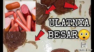 VIRAL ! SOSIS BER ULAT ! hati hati makan sosis.