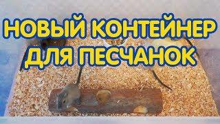 Новый контейнер для песчанок