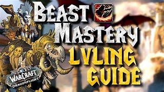 Dragonflight BM Hunter lvling guide - Why BM?! - What build?! | Dragonflight