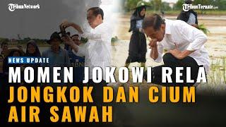 Momen Jokowi Rela Jongkok  Hingga Cium dan Basuh Tangan Pakai Air Irigasi di Pematang Sawah