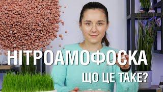 Що таке нітроамофоска? І чому вам обов'язково потрібно її придбати!