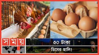 ডিমের পাইকারি আড়তে ভোক্তা অধিকারের অভিযান ! | Egg Price Hike | Egg Bazar | Somoy TV