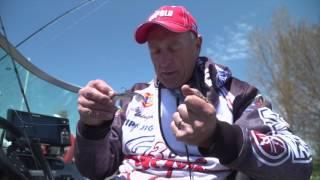 Csf 31 04 YouTube Lunker City Swimfish