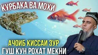 Домулло Абдурахим Курбака ва Мохи Ачоиб Кисса Зур Бин Рохат кун 2021