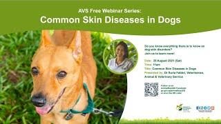 AVS Free Webinar Series | Common Skin Diseases in Dogs