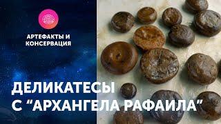 Деликатесы с "Архангела Рафаила". Артефакты ЦПИ РГО. Роман Прохоров