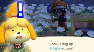 MURDER MYSTERY PUZZLE ISLAND! (Animal Crossing New Horizons Island Tour)