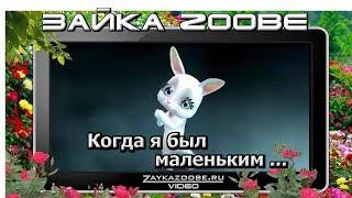 Зайка Zoobe.  Когда я был маленьким ...