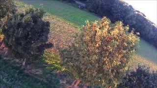 fpv mode 2 shredder shredding