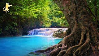 8 HOURS of Relaxing Music with Nature Sounds  Waterfall Meditation