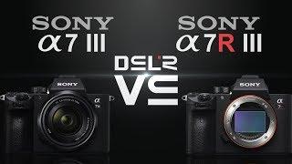 Sony alpha a7 III vs Sony alpha a7R III