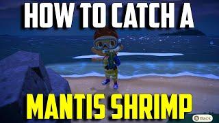 How to Catch a Mantis Shrimp | Mantis Shrimp Animal Crossing New Horizons | Mantis Shrimp ACNH