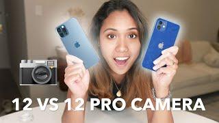 iPhone 12 vs 12 Pro Camera Test