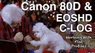 Canon 80D with EOSHD C-LOG | Working With Different Camera Profiles