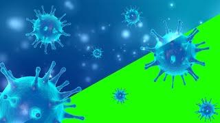 Green Screen Coronavirus Video Effects Footage Animation (For Free)