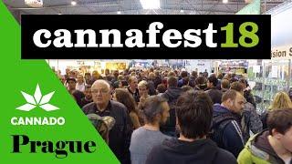 Cannafest Prague'18 Intro. Cannado.