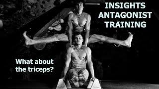 INSIGHTS ANTAGONIST TRAINING FOR CLIMBERS | What about the triceps?