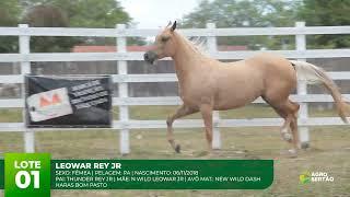 LOTE 01   LEOWAR REY JR