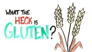 What The Heck Is Gluten?