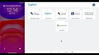 Ciptor Single-Sign-On portal with FIDO2 passwordless login