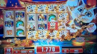 Astro Cat Slot Machine Bonus - 10 Free Games Win with Locked Wild Cats