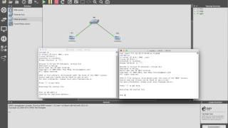 GNS3 basic topology