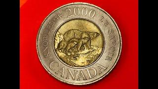 2000 Canada 2 Dollars 3 Polar Bear Knowledge Coin - Most Beautiful Not Most Valuable Two Dollar Coin