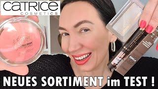 Catrice Update Frühling/Sommer 2021 ► BROW SOAP? Cheek Lover Blush  #NataliNordBeauty