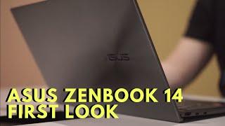 ASUS ZENBOOK 14 UM425 FIRST LOOK