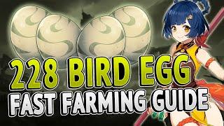 Bird Egg 228 Locations FAST FARMING ROUTE | Genshin Impact 2.4