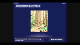 Provisioning Ecosystem Services