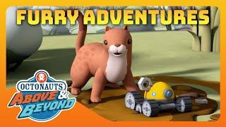 Octonauts: Above & Beyond -  Furry Adventures 🪂 | Compilation | @Octonauts​