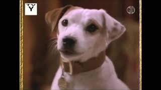 YTP - Wishbone Gets Diagnosed with Autism