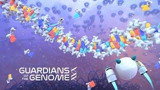 AXS Studio Science VR game. Guardians of the Genome 360 gameplay