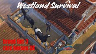 Westland Survival: breed tier 3 rare horses 3X at stable, what happened?