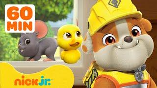 Rubble & Crew |Die besten Tierrettungen von Rubble und Crew in Builder Cove!#2 |Nick Jr. Deutschland