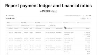 Report payment ledger and financial ratios | ERPNext v15