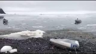 Video Captures Moment When Tsunami Hits Greenland's West Coast