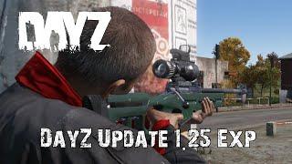 Everything New In DayZ Update 1.25 (Experimental)