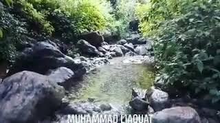 Water Stream near Trail 5 Margalla hills Islamabad